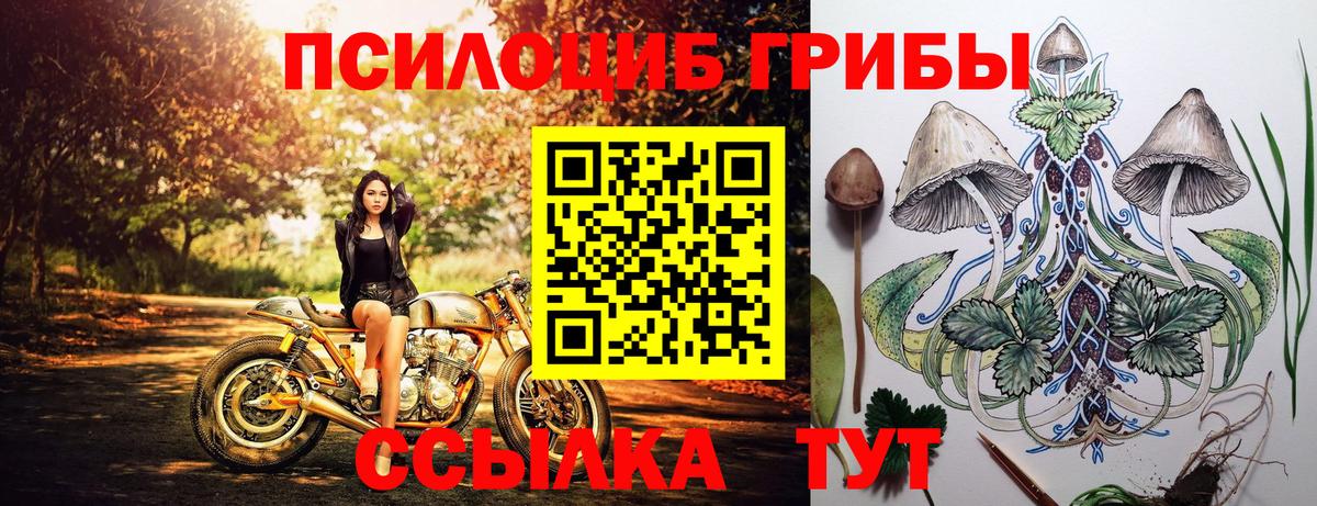 Псилоцибиновые грибы мухоморы Междуреченск